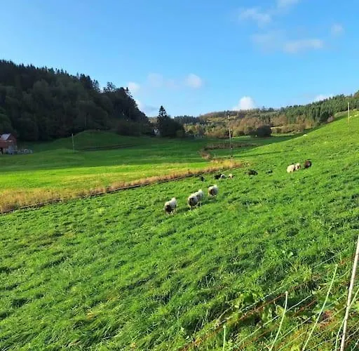 Countryside Experience In A Cozy Loft Near Bergen Appartement *