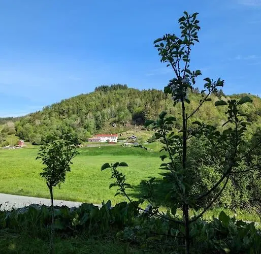 Countryside Experience In A Cozy Loft Near Bergen Appartement *