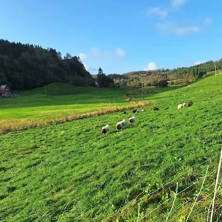Countryside Experience In A Cozy Loft Near Bergen Apartment *